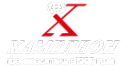 Логотип компании ХАМЕЛЕОН